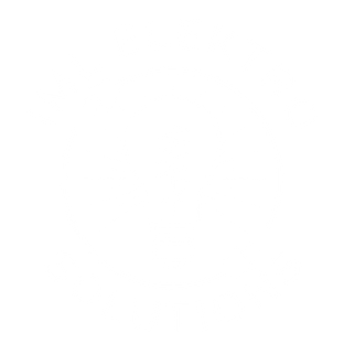 IML Elektro Solutions
